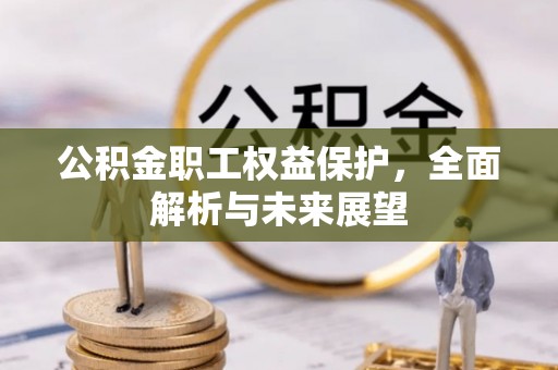 海沧公积金职工权益保护，全面解析与未来展望